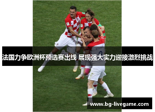 法国力争欧洲杯预选赛出线 展现强大实力迎接激烈挑战